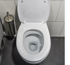 Toilettenvesrtopfung vorbeugen